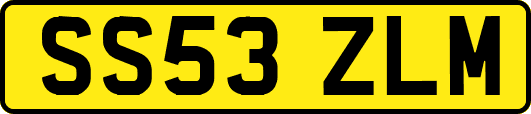 SS53ZLM
