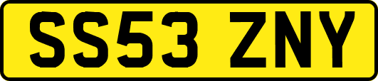 SS53ZNY