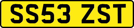 SS53ZST