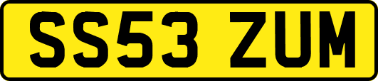 SS53ZUM
