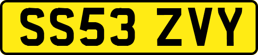 SS53ZVY