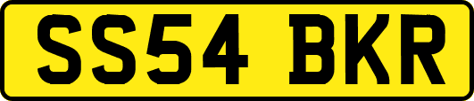 SS54BKR