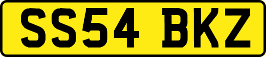 SS54BKZ