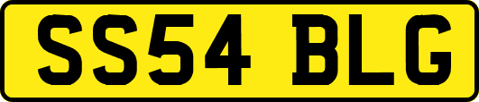 SS54BLG