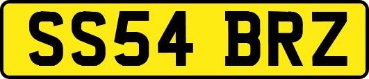 SS54BRZ