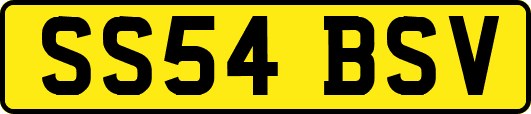 SS54BSV