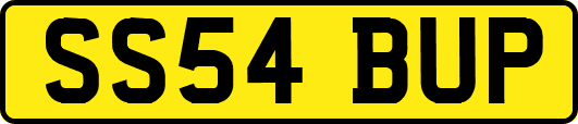 SS54BUP