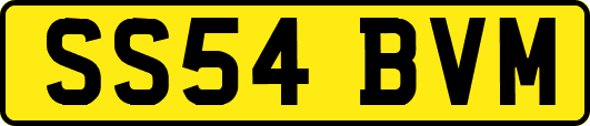 SS54BVM