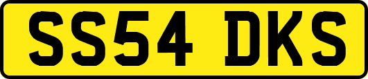 SS54DKS