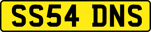 SS54DNS