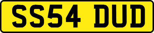 SS54DUD