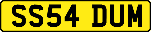 SS54DUM