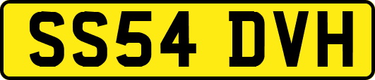 SS54DVH