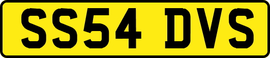 SS54DVS