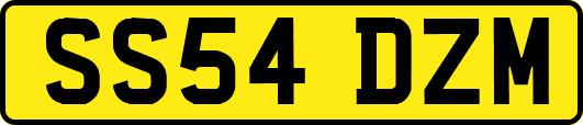 SS54DZM