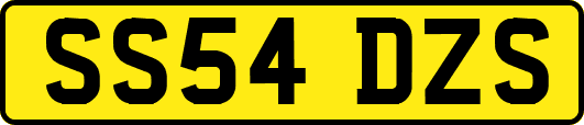 SS54DZS