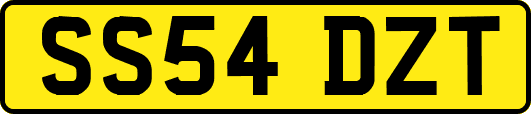 SS54DZT