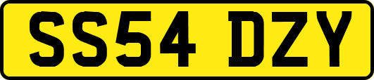 SS54DZY
