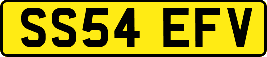 SS54EFV