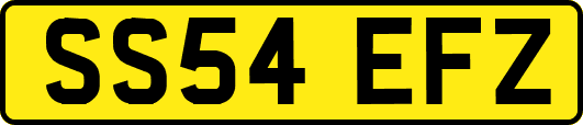 SS54EFZ