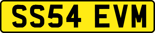 SS54EVM