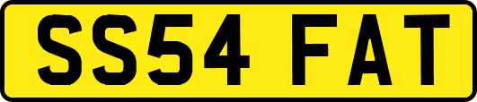SS54FAT