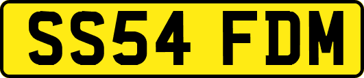 SS54FDM