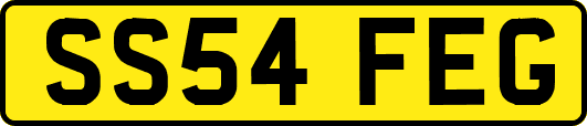 SS54FEG