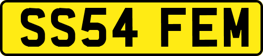 SS54FEM