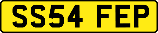 SS54FEP