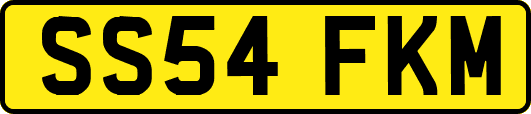 SS54FKM