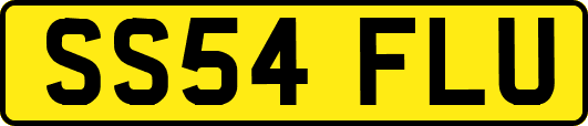 SS54FLU