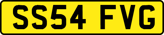 SS54FVG