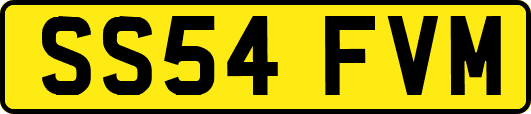 SS54FVM