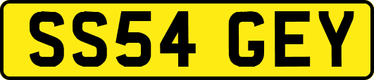 SS54GEY