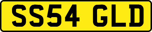 SS54GLD