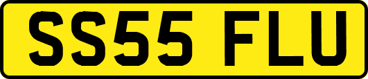 SS55FLU