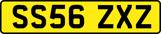 SS56ZXZ