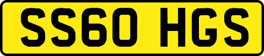 SS60HGS