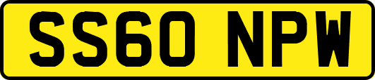 SS60NPW