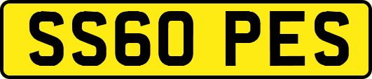 SS60PES