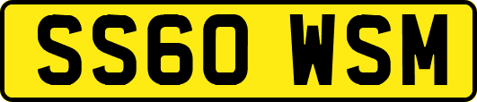 SS60WSM