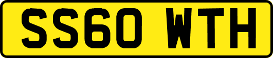 SS60WTH