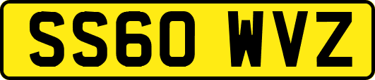 SS60WVZ