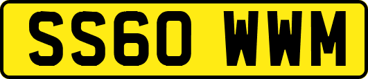 SS60WWM