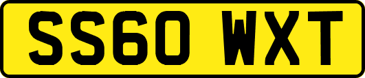 SS60WXT