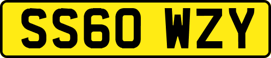 SS60WZY