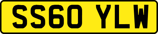 SS60YLW