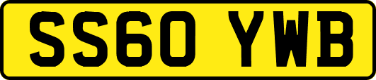 SS60YWB