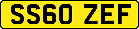 SS60ZEF